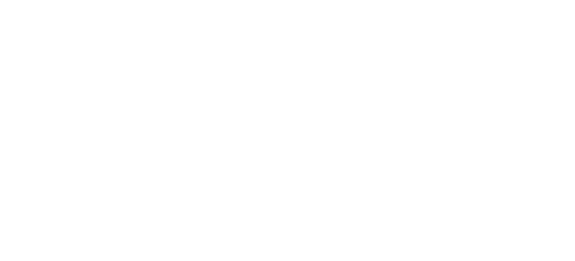 LIBUS Logo